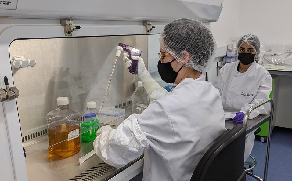 RoslinCT-Training-lab-gmp