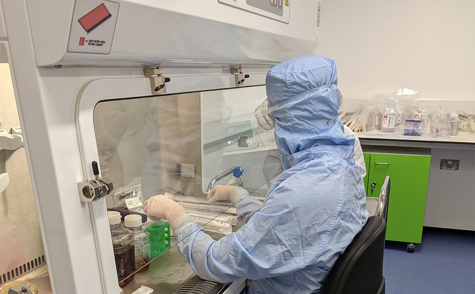 RoslinCT-cell-therapy-process